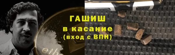 гашик Пересвет