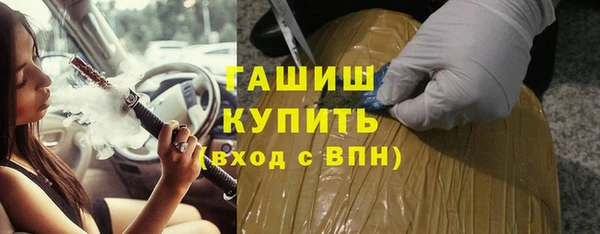 гашик Пересвет