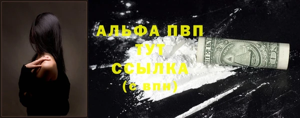 гашик Пересвет