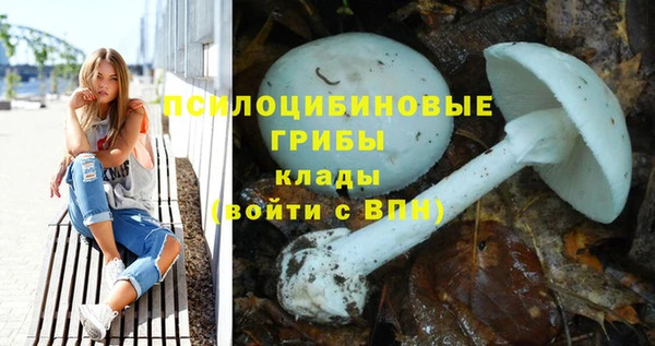 гашик Пересвет