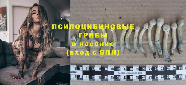 гашик Пересвет