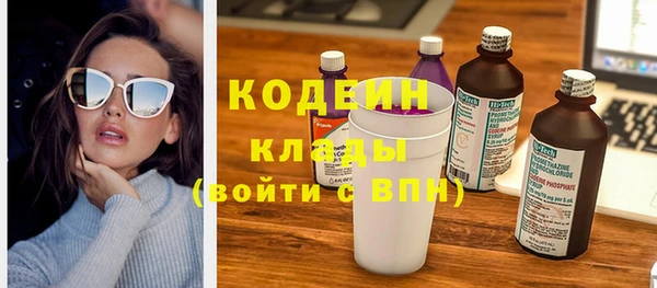 гашик Пересвет