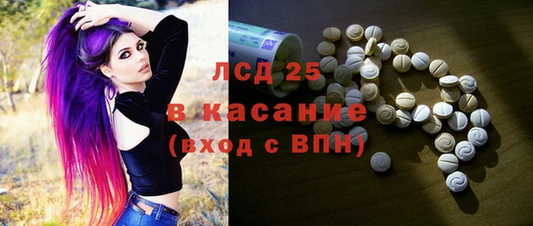 гашик Пересвет